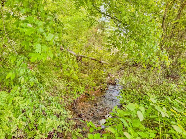 1211 Bundrant Hollow Rd, Waynesboro, TN 38485