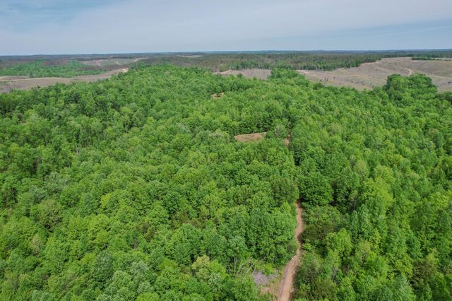 1211 Bundrant Hollow Rd, Waynesboro, TN 38485