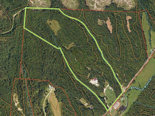 1211 Bundrant Hollow Rd, Waynesboro, TN 38485