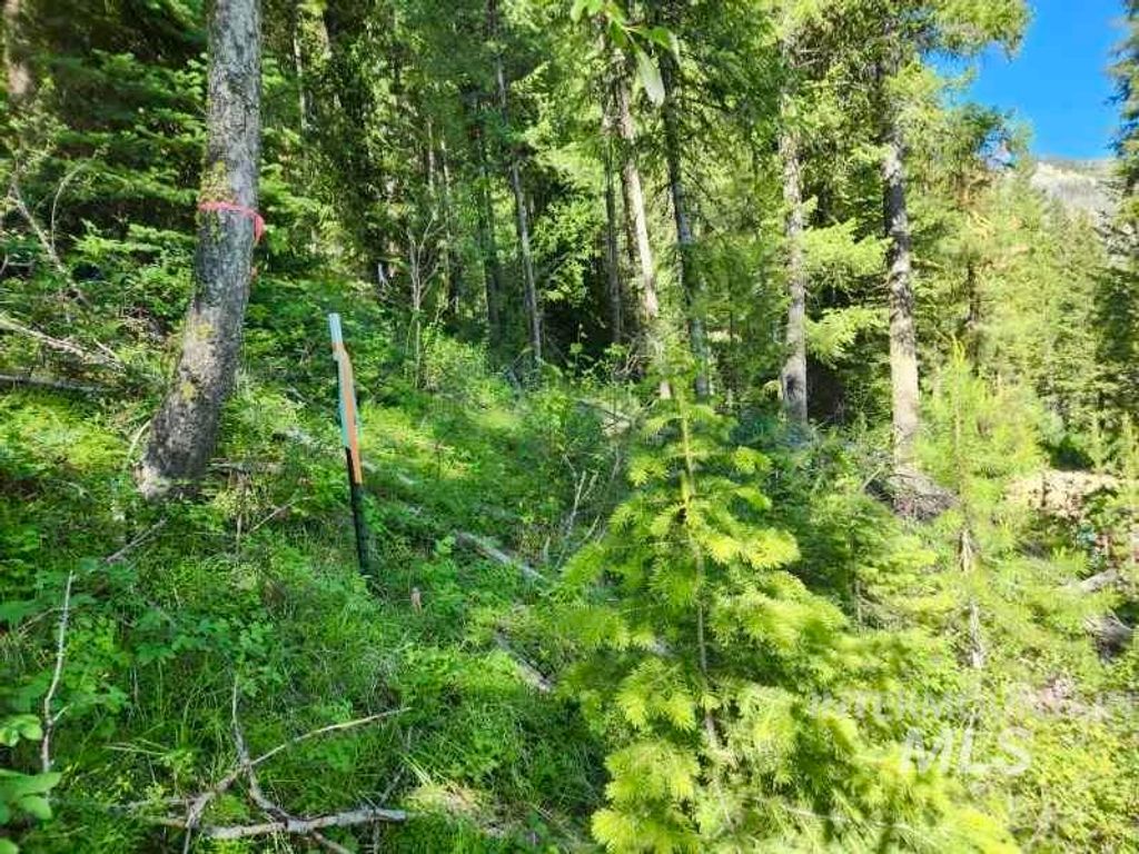 TBD Atlanta Cir, Atlanta, ID 83716 photo 4