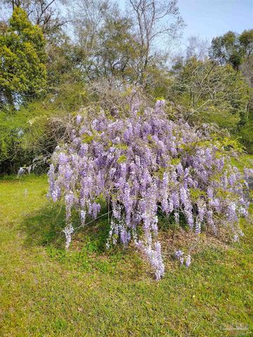 4611 Gunter Rd, Milton, FL 32570