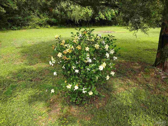 4611 Gunter Rd, Milton, FL 32570