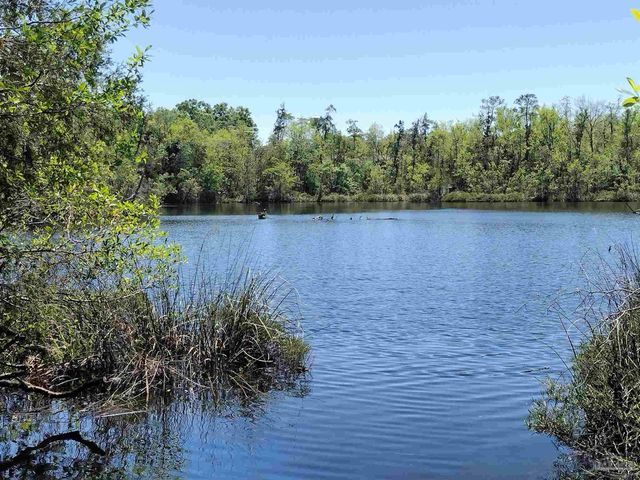 4611 Gunter Rd, Milton, FL 32570