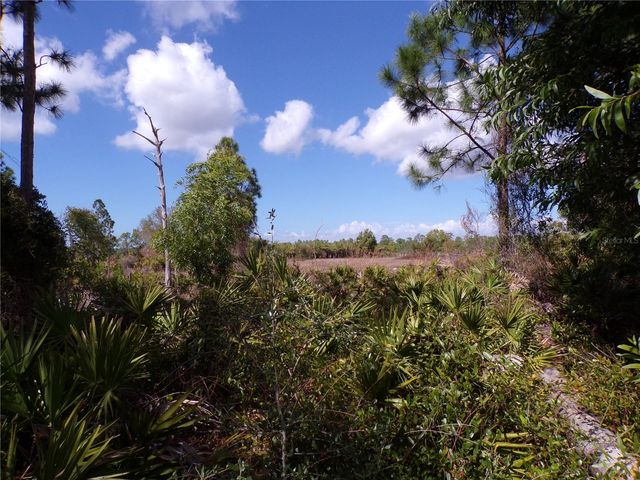 12253 GREEN GULF BOULEVARD, Punta Gorda, FL 33955