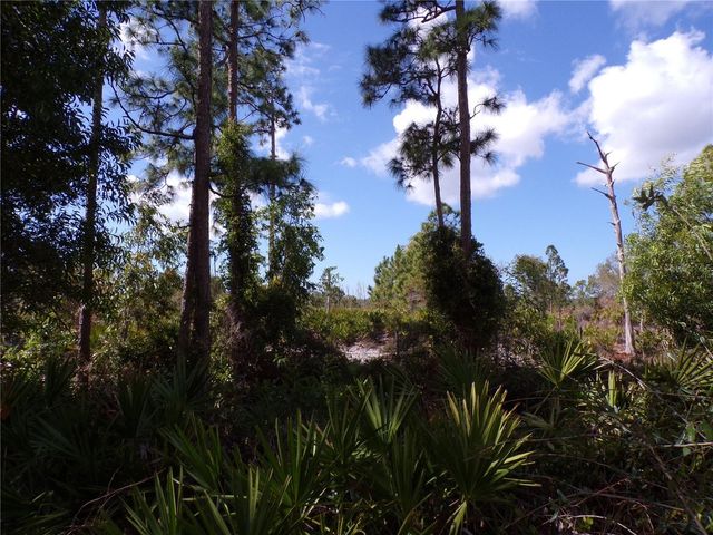 12253 GREEN GULF BOULEVARD, Punta Gorda, FL 33955