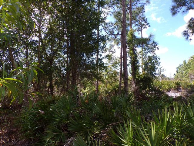 12253 GREEN GULF BOULEVARD, Punta Gorda, FL 33955