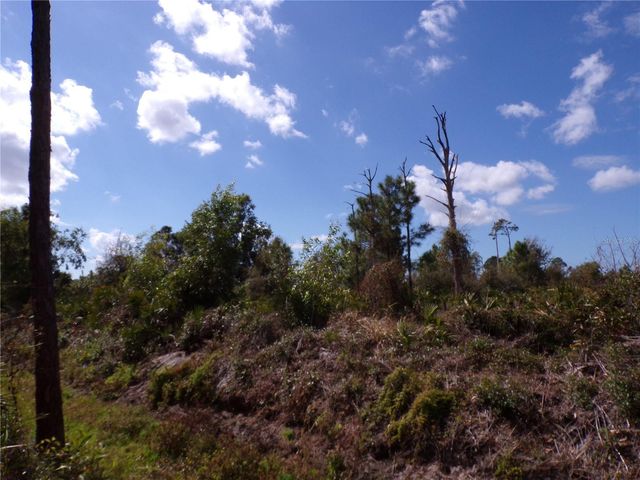 12253 GREEN GULF BOULEVARD, Punta Gorda, FL 33955