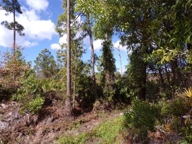 12253 GREEN GULF BOULEVARD, Punta Gorda, FL 33955