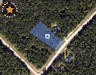 5-6-230 Dipping Vat Road, Huntsville, TX 77340