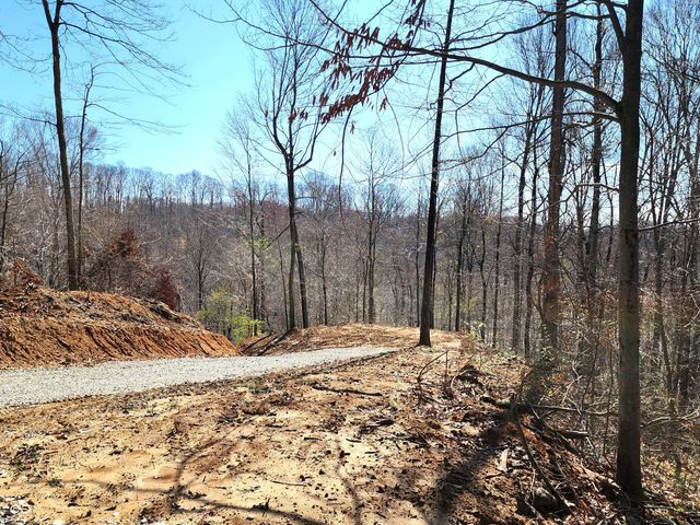 0 Goat Hollow Estates Lot 1, Martinsville, IN 46151