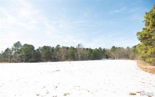 698 Hoot Owl Lane, Grandin, MO 63943