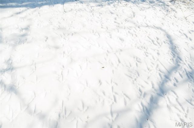 698 Hoot Owl Lane, Grandin, MO 63943