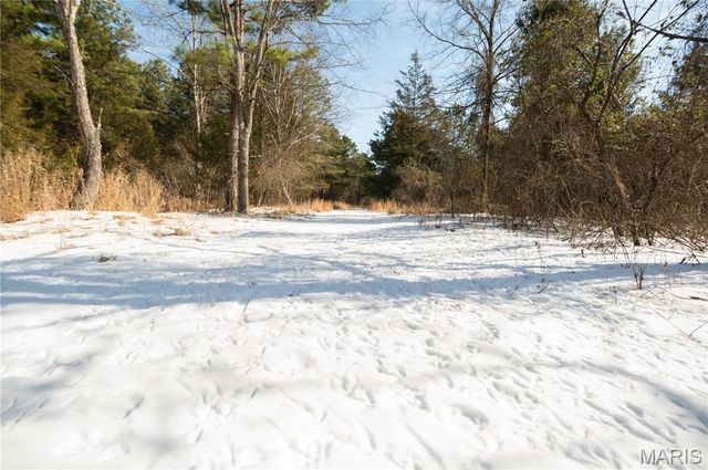 698 Hoot Owl Lane, Grandin, MO 63943