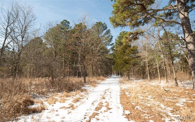 698 Hoot Owl Lane, Grandin, MO 63943