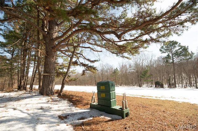 698 Hoot Owl Lane, Grandin, MO 63943