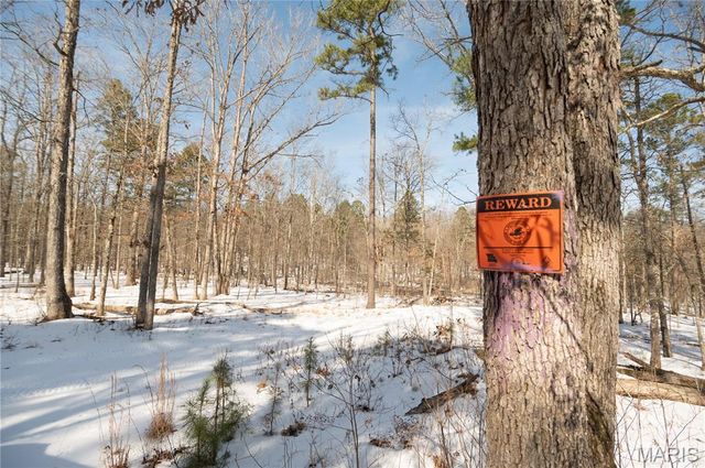 698 Hoot Owl Lane, Grandin, MO 63943