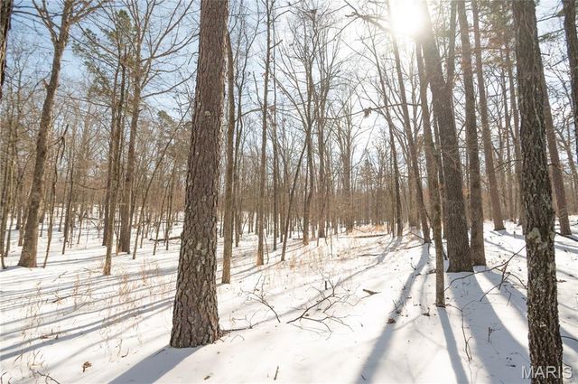 698 Hoot Owl Lane, Grandin, MO 63943