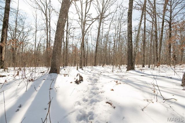 698 Hoot Owl Lane, Grandin, MO 63943