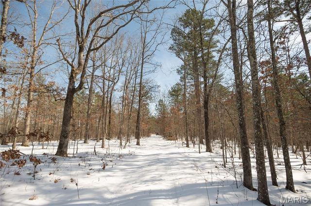 698 Hoot Owl Lane, Grandin, MO 63943