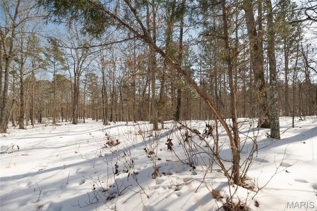 698 Hoot Owl Lane, Grandin, MO 63943