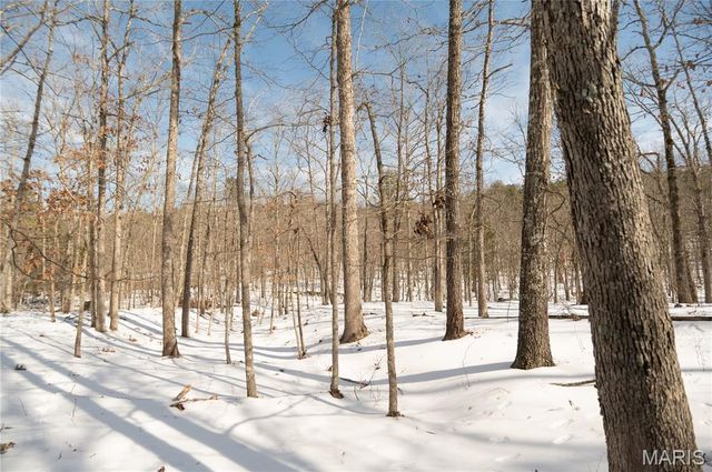 698 Hoot Owl Lane, Grandin, MO 63943