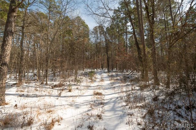 698 Hoot Owl Lane, Grandin, MO 63943