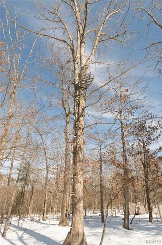 698 Hoot Owl Lane, Grandin, MO 63943