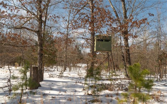 698 Hoot Owl Lane, Grandin, MO 63943