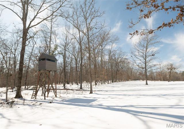 698 Hoot Owl Lane, Grandin, MO 63943