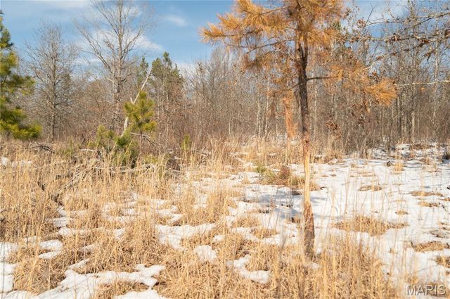 698 Hoot Owl Lane, Grandin, MO 63943