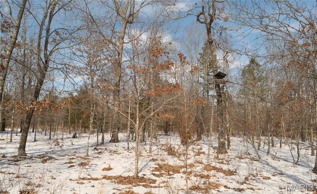 698 Hoot Owl Lane, Grandin, MO 63943