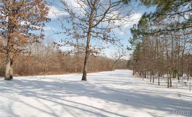 698 Hoot Owl Lane, Grandin, MO 63943