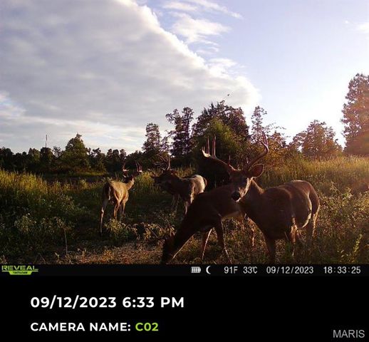 698 Hoot Owl Lane, Grandin, MO 63943