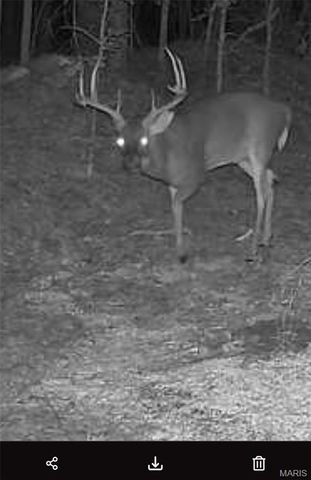 698 Hoot Owl Lane, Grandin, MO 63943