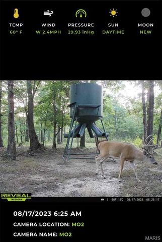 698 Hoot Owl Lane, Grandin, MO 63943