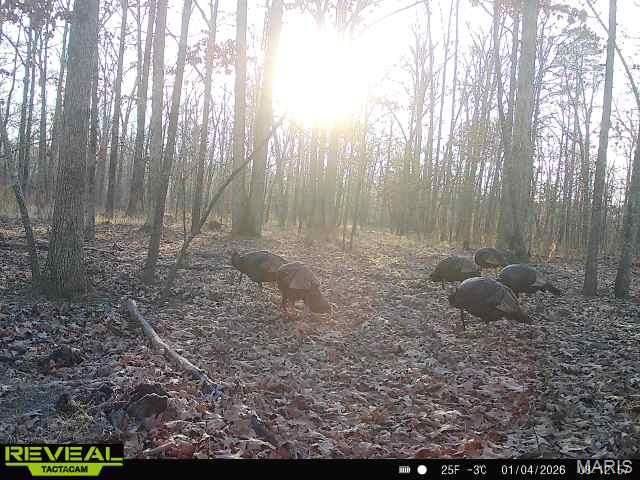 698 Hoot Owl Lane, Grandin, MO 63943