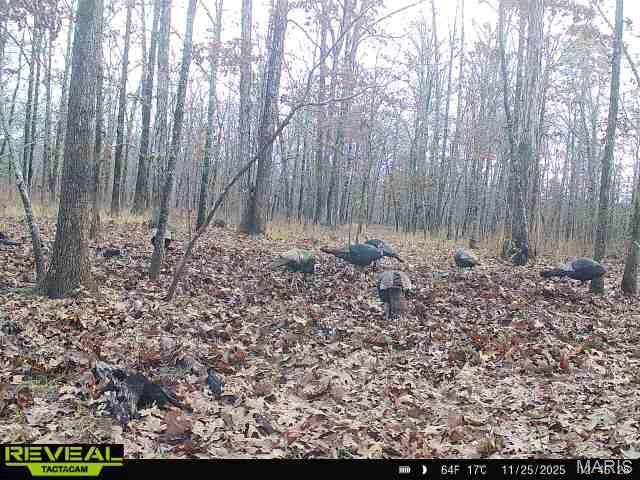 698 Hoot Owl Lane, Grandin, MO 63943