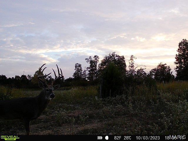 698 Hoot Owl Lane, Grandin, MO 63943