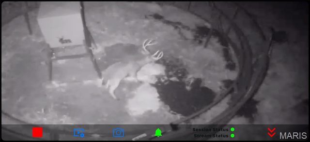 698 Hoot Owl Lane, Grandin, MO 63943