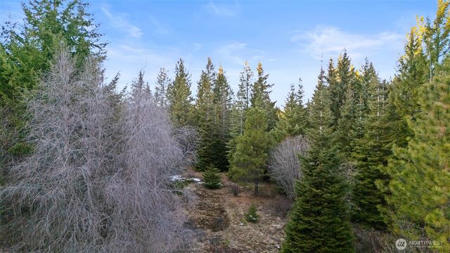 3301 Jenkins Drive, Cle Elum, WA 98922