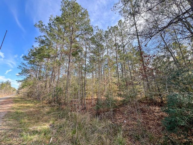 T-3 Zavalla Road, Mauriceville, TX 77626