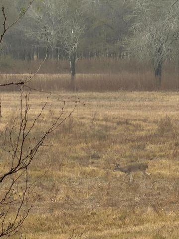 NA County Road 386, Marquez, TX 77865