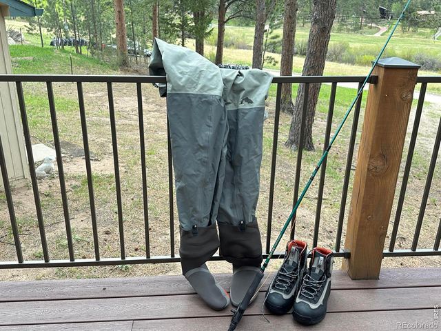 71 Cedar Drive, Lyons, CO 80540
