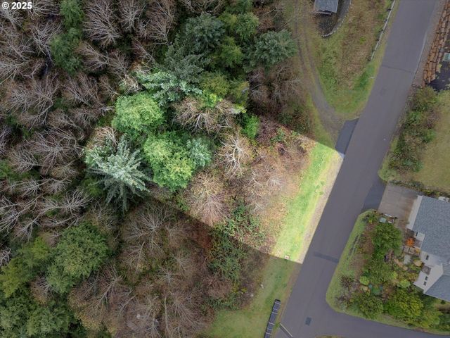 53000 Blk SouthBeach TL219, Neskowin, OR 97149