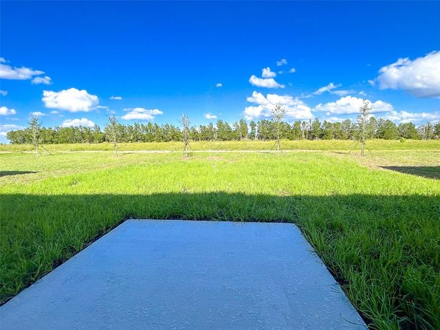 335 LOCH COURT, Davenport, FL 33837