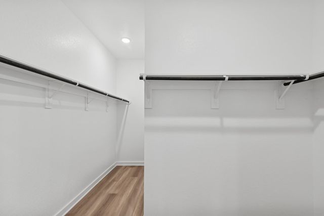 22414 Curly Maple Drive, New Caney, TX 77357