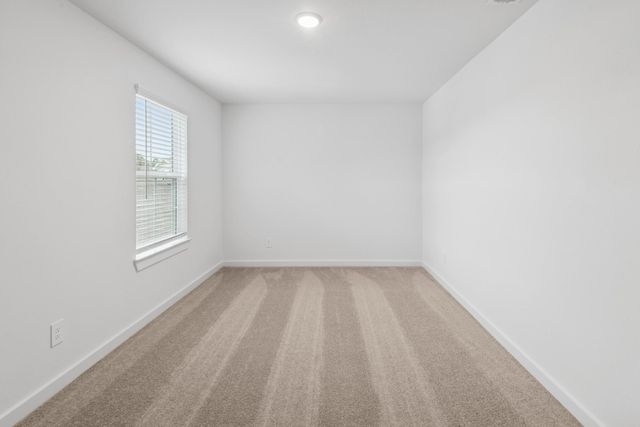 22414 Curly Maple Drive, New Caney, TX 77357