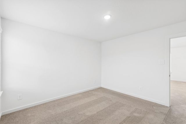 22414 Curly Maple Drive, New Caney, TX 77357