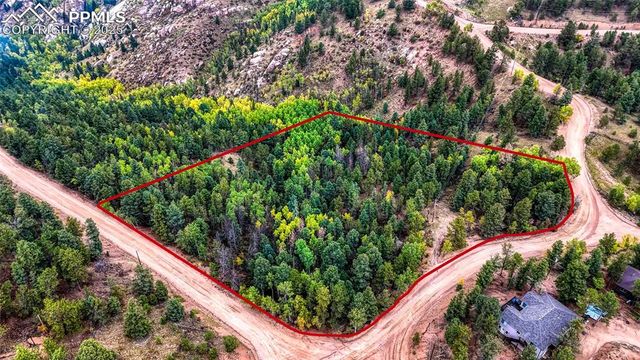 599 Dandy Jim Drive, Cripple Creek, CO 80813