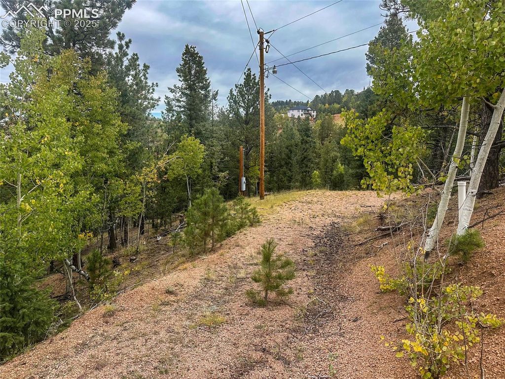 599 Dandy Jim Drive, Cripple Creek, CO 80813 — photo 2